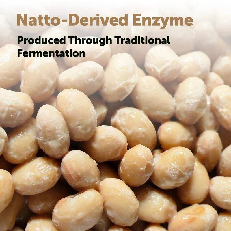 Nattokinase 12,000FU Complex - 60 Vegetarian Capsules